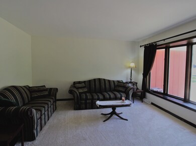 1081 Adobe Dr unit 4, Aurora, IL 60506 - photo 7