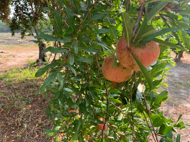 B625574A-6649-47B1-A07D-7B8FCCF17A11