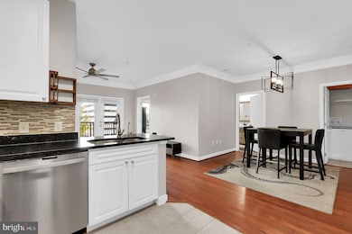 The Fitz at Rockville Town Center, Rockville, MD 20850 - photo 7