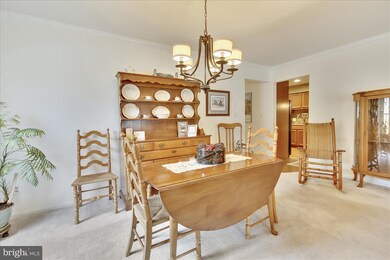 910 Yardarm Ln, Annapolis, MD 21401 - photo 6