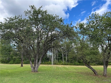 1406 Gray Wilmurt Rd, Cold Brook, NY 13324 - photo 6