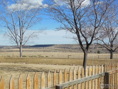 SE view from yard