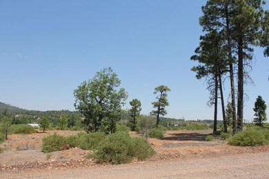 6288 Bull Elk Run, Show Low, AZ 85901 - photo 4