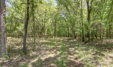 View of nature featuring a forest view