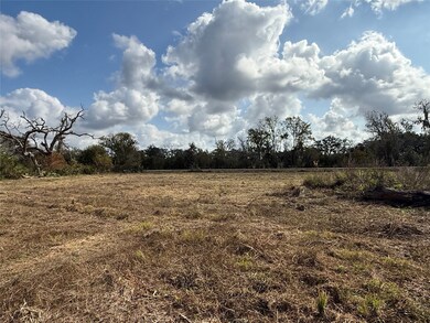 2 County Road 700, Brazoria, TX 77422 - photo 4