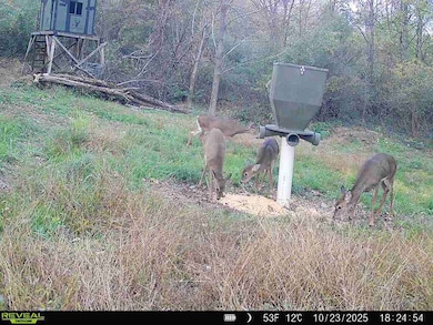 14405 Ohio 83, Coshocton, OH 43812 - photo 7