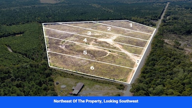 Williams Choctaw County unit MS, Williams, MS 39735 - photo 7