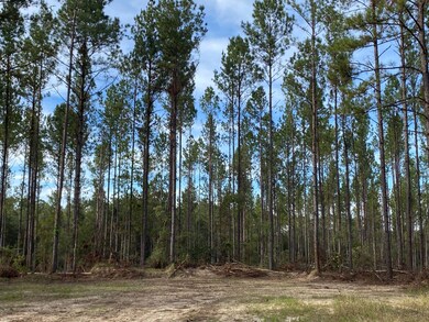 1 Highway 59, Stockton, AL 36579 - photo 7