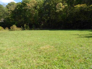 0 Lea Lakes unit 866370, Blaine, TN 37709 - photo 5