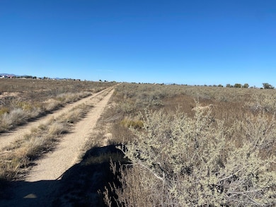 0 Valle Verde Ave, McIntosh, NM 87035 - photo 4