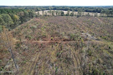 2F037ED1-C3AF-4BCC-B2EB-7729F2D5F0DE