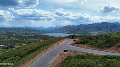 dji_fly_20250528_160356_142_174847120408