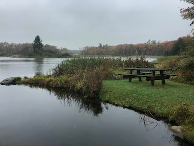 908 W Wadi Rd W, Pocono Lake, PA 18347 - photo 7