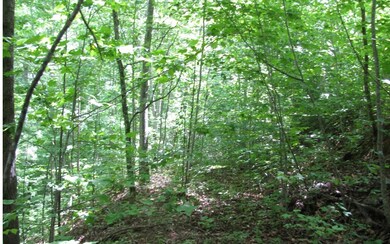 Additional View