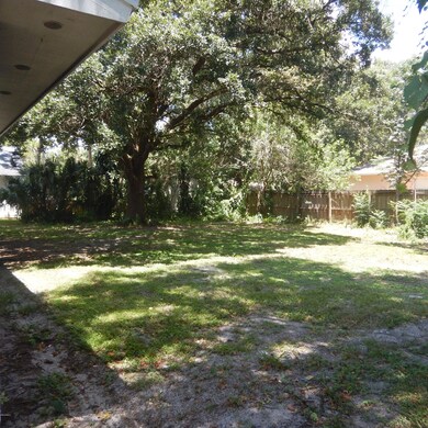 Back yard 1