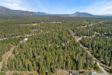 Aerial_FowlerRdLot-3