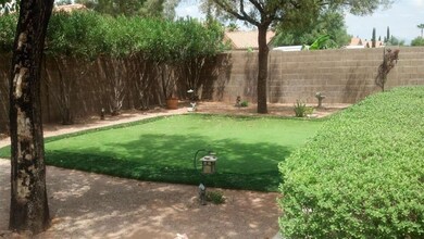 Landscaped Back Yard