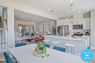 24 Hyacinth Ln unit 99, Angier, NC 27501 - photo 3