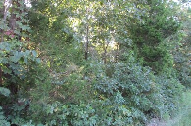 View 1