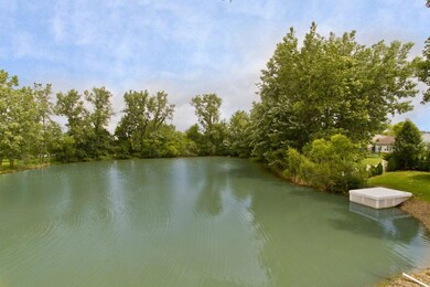 LAKE FROM BACK OF HOME
