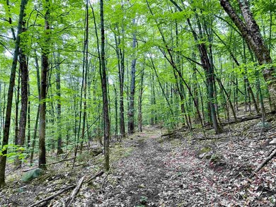 Lot 1 and 6 Grace and Granite Hill Rd, Wilmot, NH 03287 - photo 3