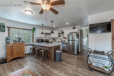 577 Horseshoe Dr, Divide, CO 80814 - photo 5