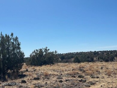 0 Water Crest Ln unit PAR1071154, Paulden, AZ 86334 - photo 6