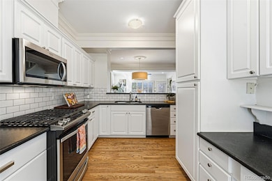 918 Ivanhoe St, Denver, CO 80220 - photo 5