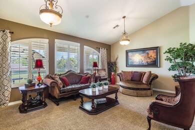 Huge Living Room with Backyard Views