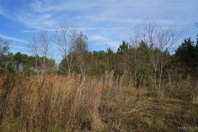 1740 Ray Thorington Rd, Montgomery, AL 36117 - photo 7