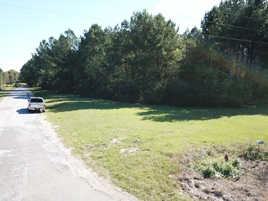 86 Cr 23, Laurel, MS 39443 - photo 3