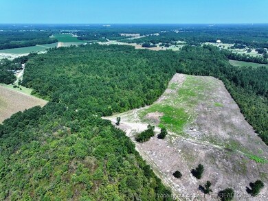 TBD Alamac Rd, Lumberton, NC 28358 - photo 7