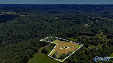 6.7+/- Acres Simpson Point Rd, Grant, AL 35747 - photo 6