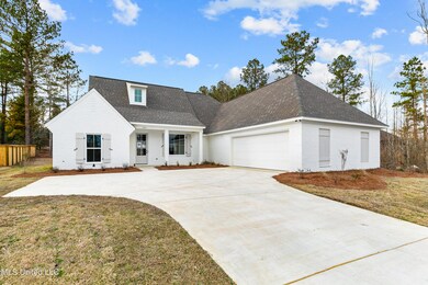 109 Herons Bay Cir, Madison, MS 39110 - photo 3