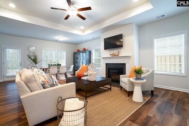 3035 Hallsdale Dr, Elgin, SC 29045 - photo 4