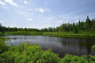 Maine Land for Sale in Ludlow Maine