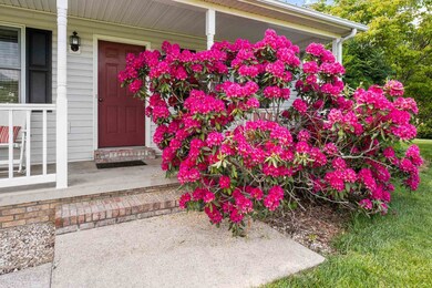 53 Stingy Hollow Rd, Staunton, VA 24401 - photo 3