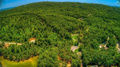 1228 Healing Springs Dr, Denton, NC 27239 - photo 5