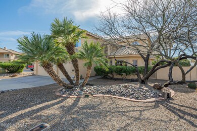 Front Yard 2