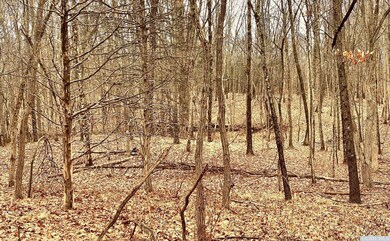 573 Willow Brook Rd, Clinton Corners, NY 12514 - photo 5