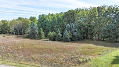 7256 Ryans Run Rd, Canadian Lakes, MI 49346 - photo 3