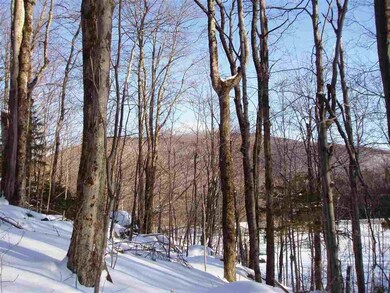 7 Cortina Country Rd unit Lots 10 and 11, Mendon, VT 05701 - photo 3