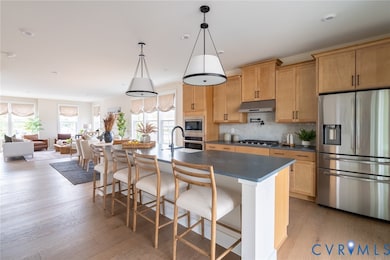 301 Golden Haze Aly unit 8-1, Midlothian, VA 23113 - photo 3