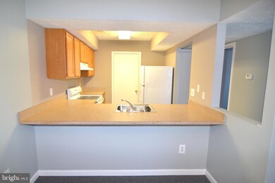 46349 Columbus Dr unit 301, Lexington Park, MD 20653 - photo 7