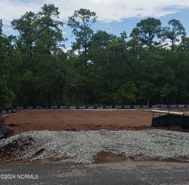 106 Wax Myrtle Way unit Lot 11, Sneads Ferry, NC 28460 - photo 4