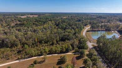 00 State Route 188, Cairo, GA 39827 - photo 6