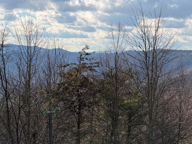 TBD Autumn Point Trail, Fancy Gap, VA 24328 - photo 5