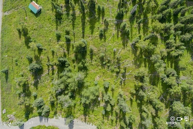 17215 Lunchbox Dr, Ninilchik, AK 99639 - photo 6