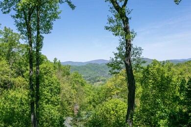 45 Creekside Way unit I/302, Price Creek, NC 28714 - photo 2