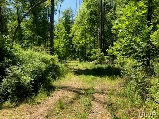 0 Fels Rd unit 668327, Quakertown, PA 18951 - photo 7